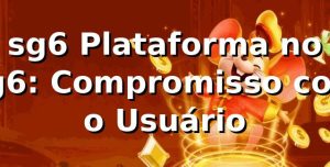 sg6 Plataforma no sg6: Compromisso com o Usuário